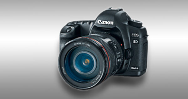 Мой выбор: Canon 5D mark II